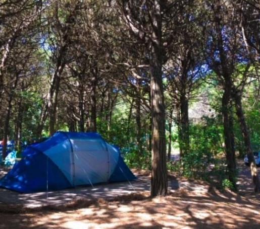 rosapineta it camping 006