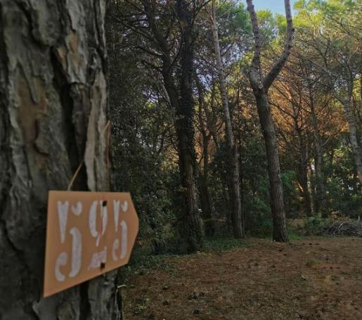rosapineta it camping 007