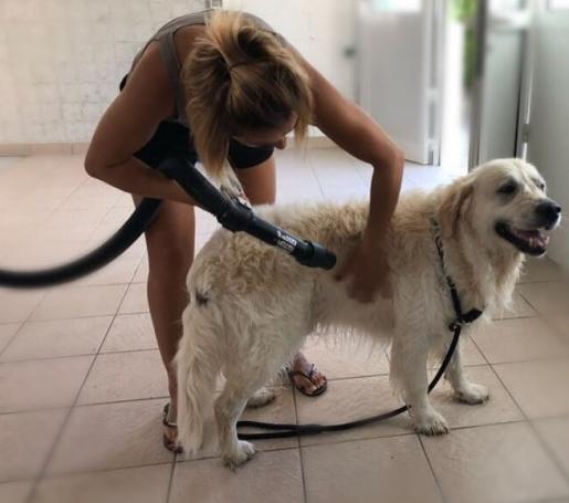 rosapineta it pet-friendly 011